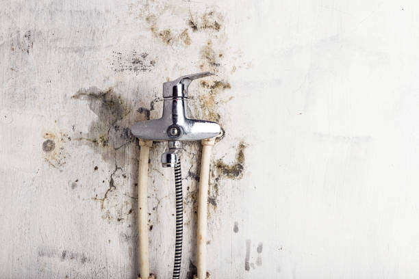 Best Local Mold Removal Service  in Blythe, CA