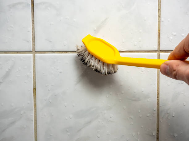 Reliable Blythe, CA Mold Removal Solutions