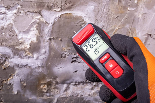 Best Mold Damage Repair  in Blythe, CA