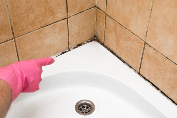 Best Residential Mold Removal  in Blythe, CA
